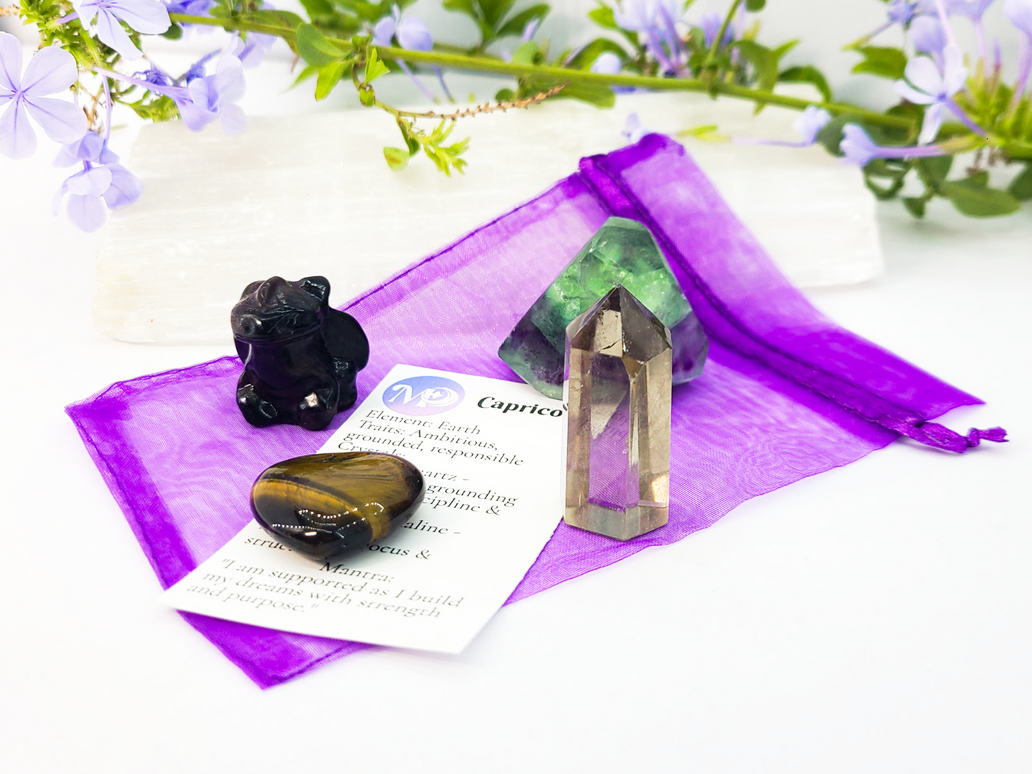 Capricorn Zodiac Crystal Set