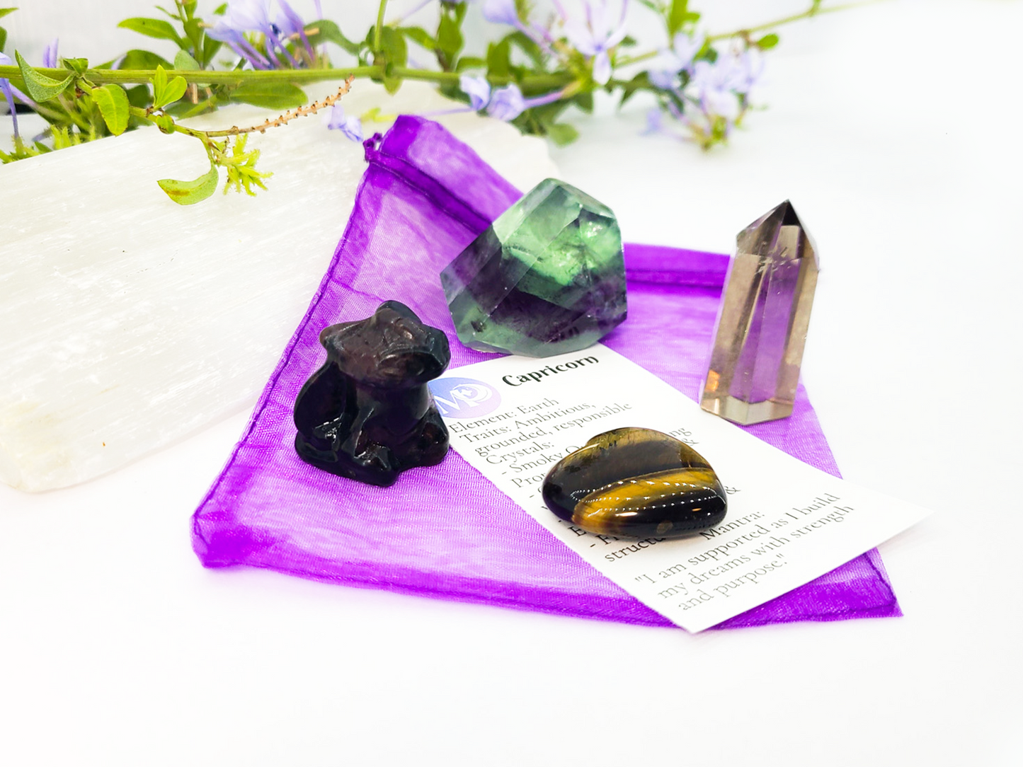 Capricorn Zodiac Crystal Set