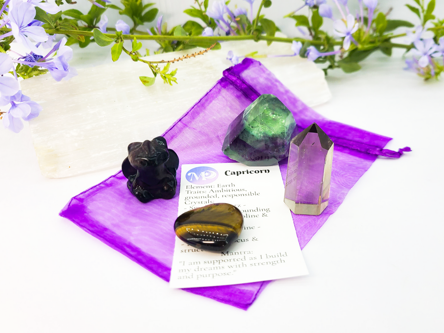 Capricorn Zodiac Crystal Set