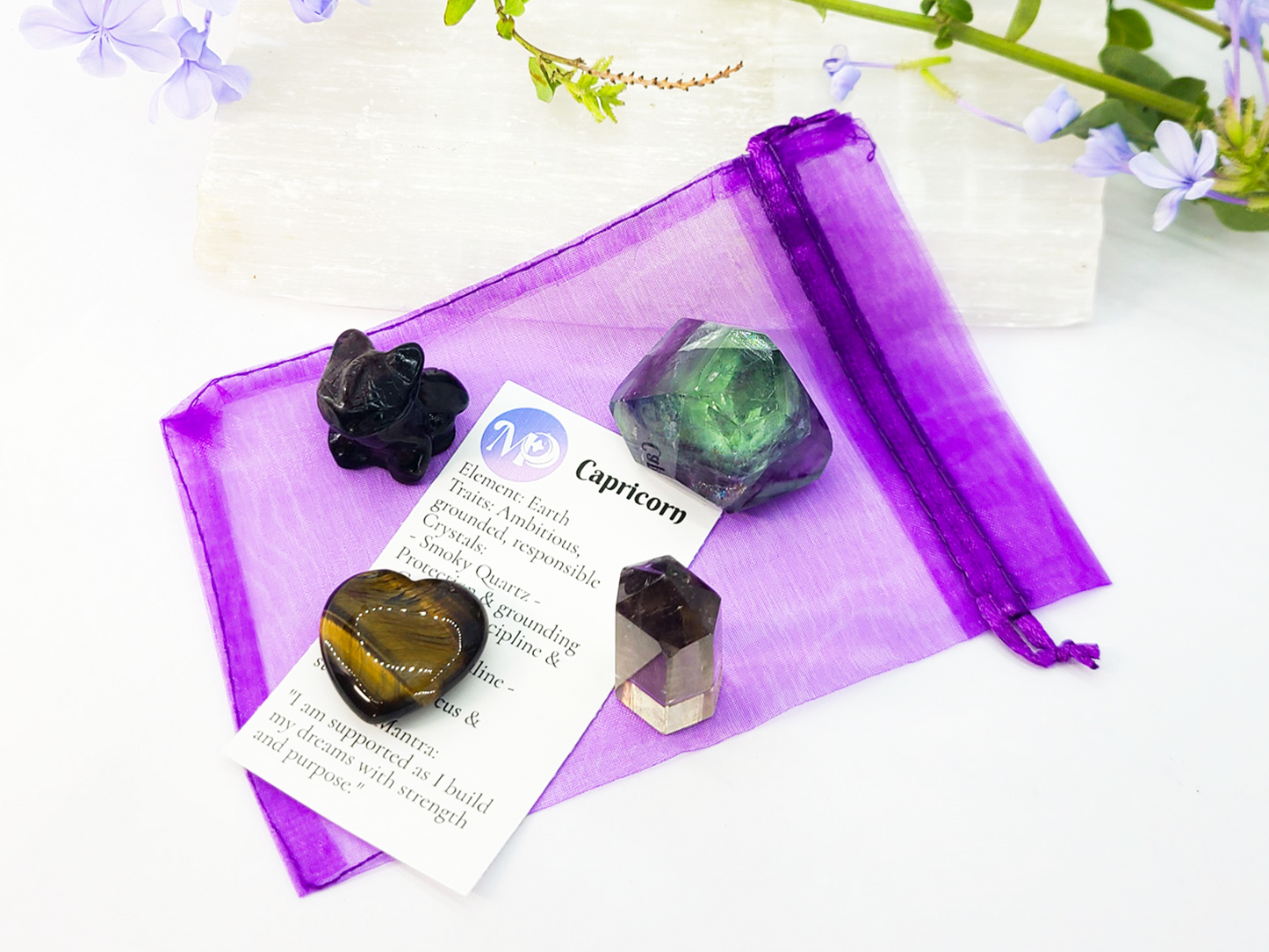 Capricorn Zodiac Crystal Set