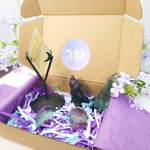 Fluorite Crystal Mystery Box